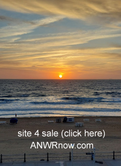 Top Right Banner